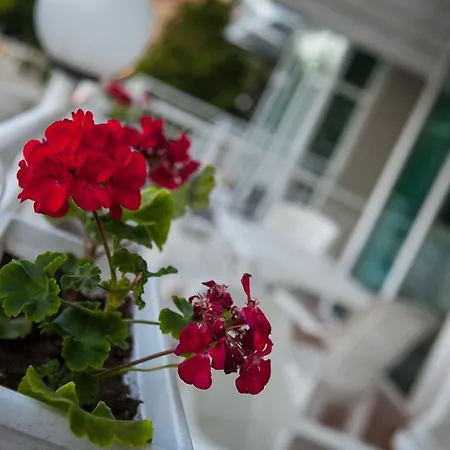 Hotell Gardia 3*